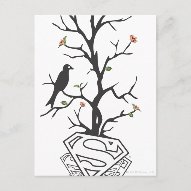Postal Aves superchica en el árbol (Anverso)