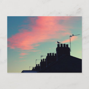 Postal Aves tempranas