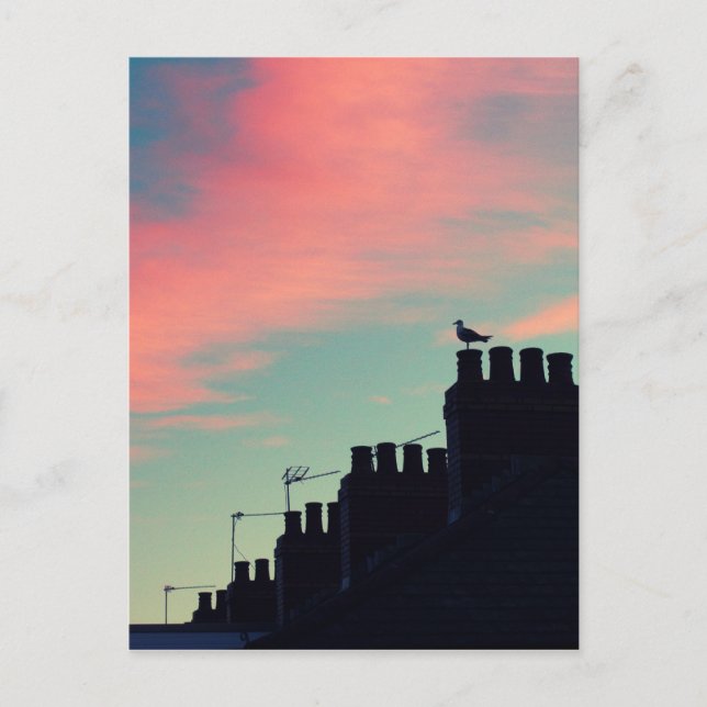 Postal Aves tempranas (Anverso)