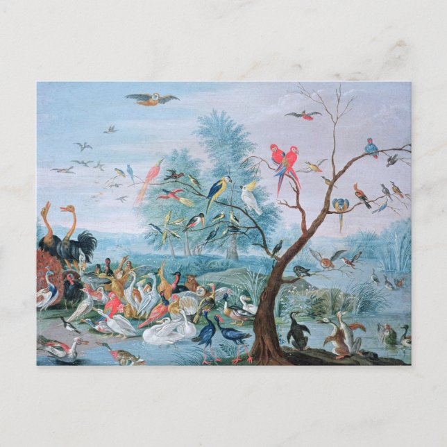 Postal Aves tropicales en un paisaje (Anverso)