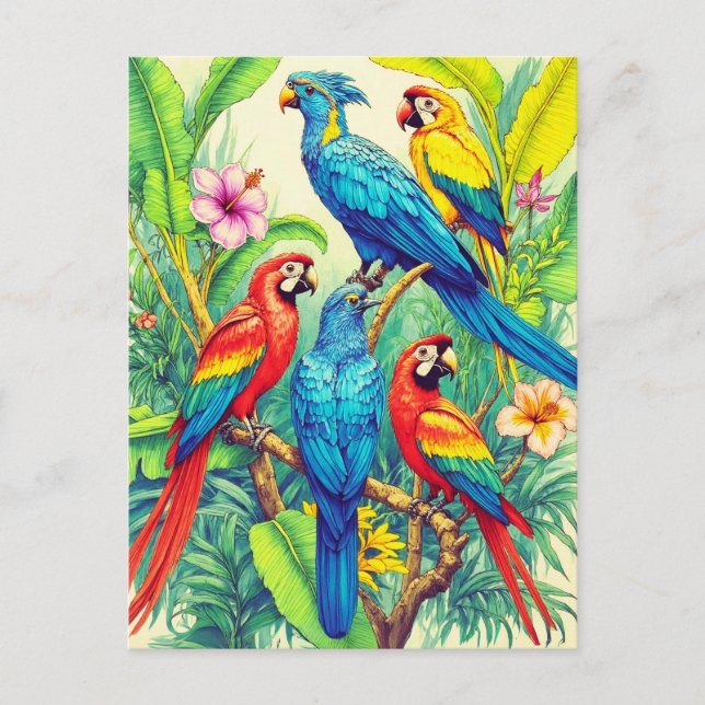 Postal Aves tropicales Ilustracion botánico (Anverso)
