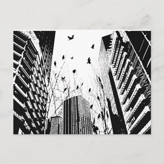 Postal aves urbanas (Anverso)