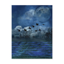 Aves volando en la noche