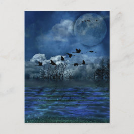 Postal Aves volando en la noche