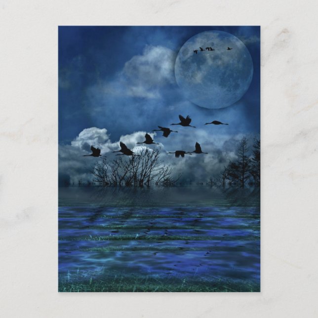 Postal Aves volando en la noche (Anverso)
