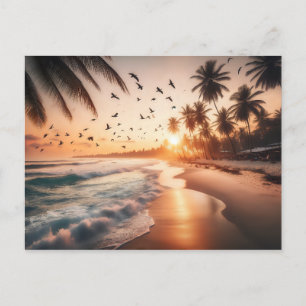Postal Aves volando sobre una playa al atardecer