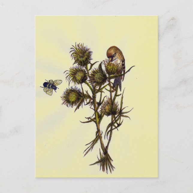 Postal Aves y abejas (Anverso)