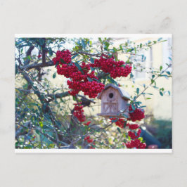 Postal Aves y bayas rojas