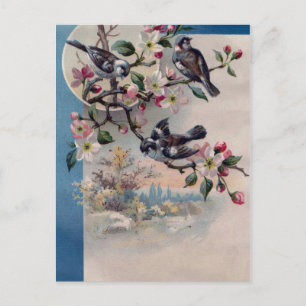 Postal Aves y flores de época