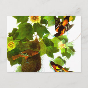 Postal Aves y flores de primavera vintage