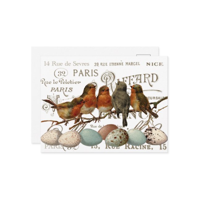 Postal Aves y huevos pintan el libro de nombres de ciudad (Anverso/Reverso In Situ)