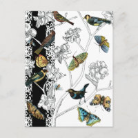 Aves y mariposa en un fondo blanco y negro