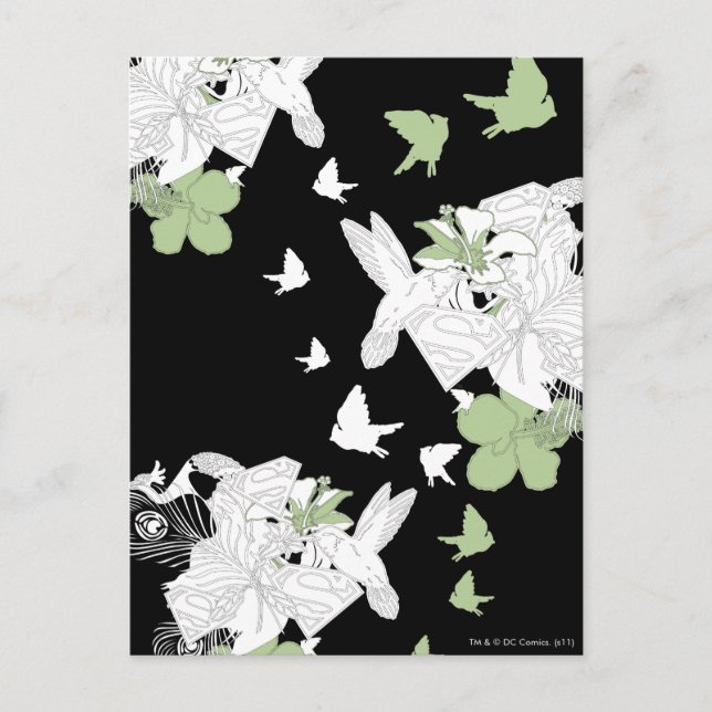 Postal Aves y plumas superchica (Anverso)