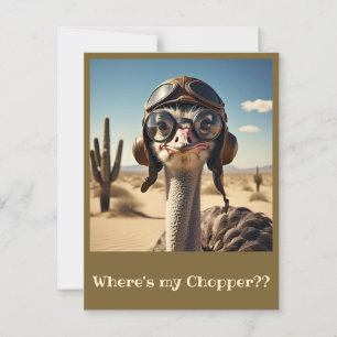 POSTAL " AVIADOR OSTRICH "