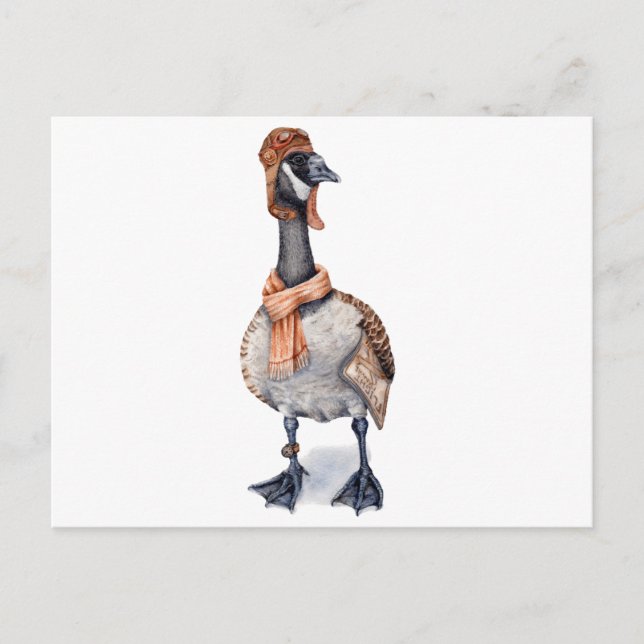 Postal Aviator Goose (Anverso)