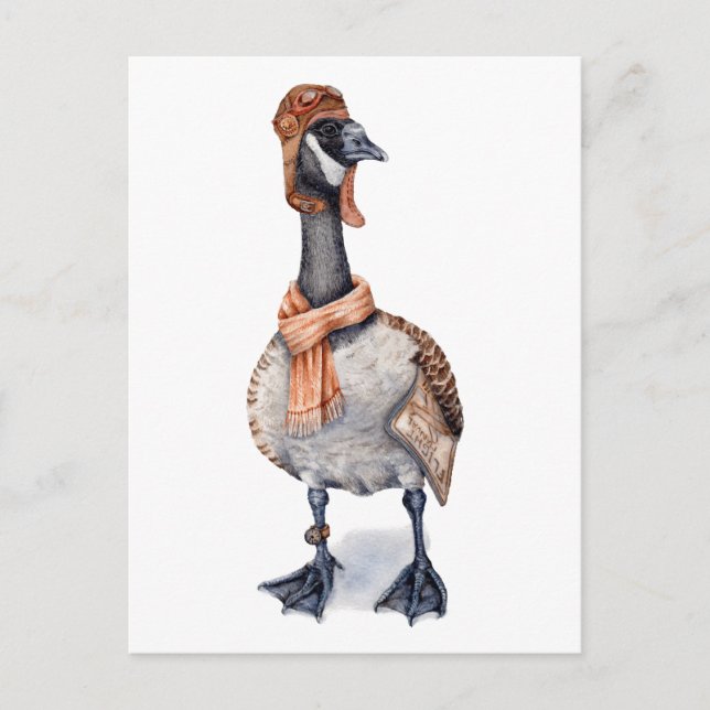 Postal Aviator Goose (Anverso)