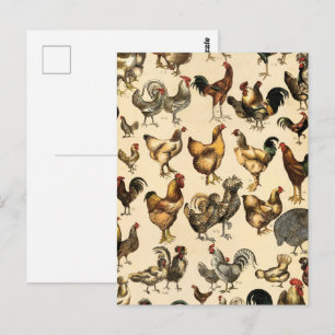 Postal Avicultura Antigüa del Mundo Arte de Razas de Gall