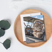 Avión Gato Piloto Vuela Alto Humor Divertido Cumpl