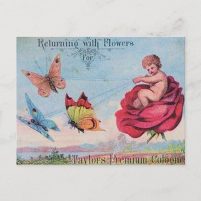 Postal Aviso de Colonia de hadas y mariposas (Anverso)