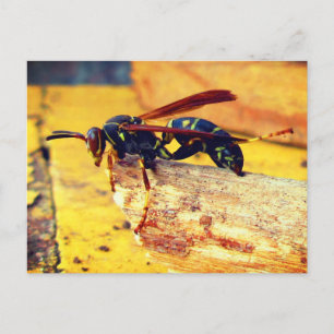 Postal Avispa Papelera Norteña Marrón Negra Amarilla Acic