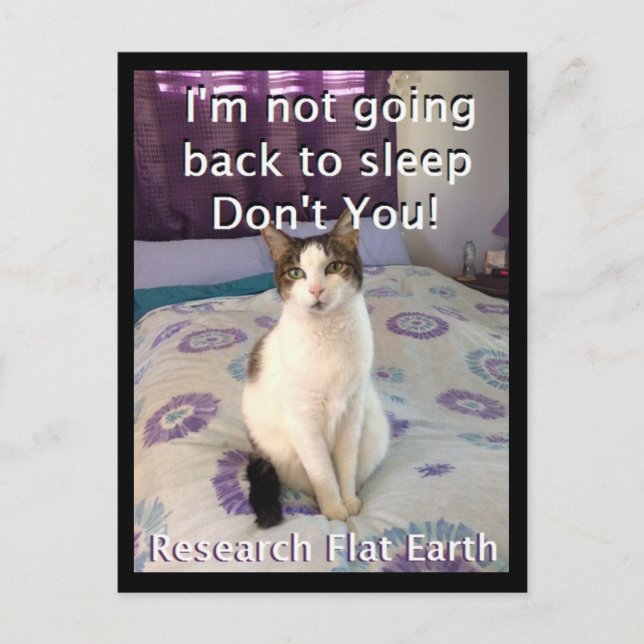 Postal Awake Layla Postcard (Anverso)