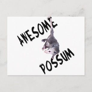 Postal Awesome Possum Opossum