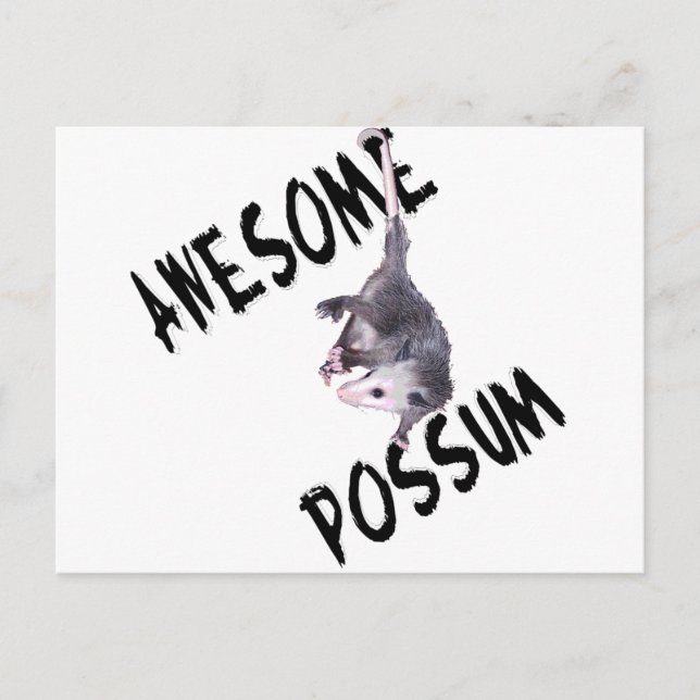 Postal Awesome Possum Opossum (Anverso)
