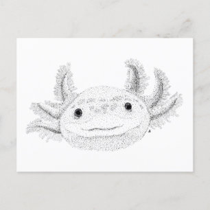 Postal Axolotl