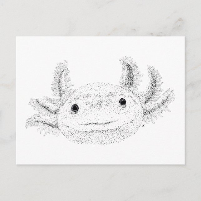 Postal Axolotl (Anverso)