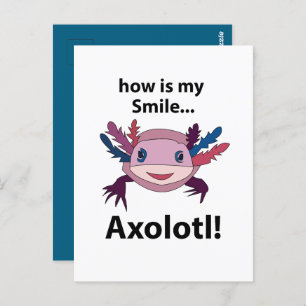 Postal Axolotl Cómo Está Mi Sonrisa Funny Axolotl