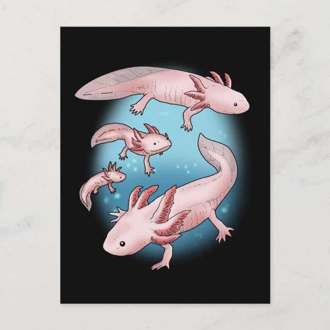 Postal Axolotl Regalo Niños Kawaii Axolotl Regalos Hombre (Anverso)