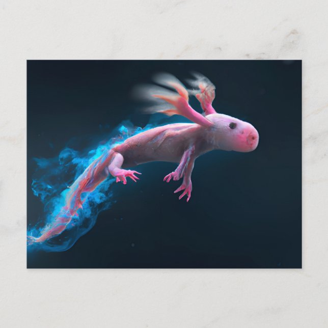 Postal Axolotl rosado (Anverso)