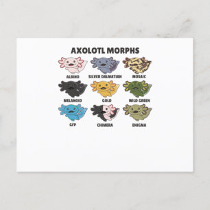 Postal Axolotls de Axolotl