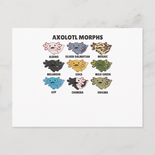Postal Axolotls de Axolotl (Anverso)