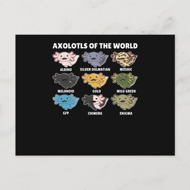 Postal Axolotls de Axolotl (Anverso)