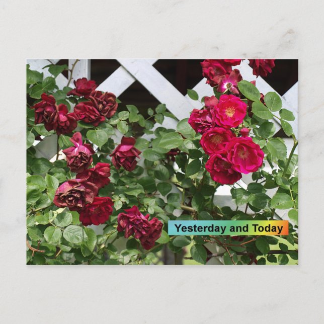 Postal Ayer y hoy (Anverso)