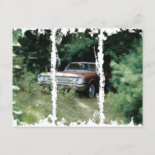 Postal Ayudé a salvar el goldeneagle de la playa de Old O