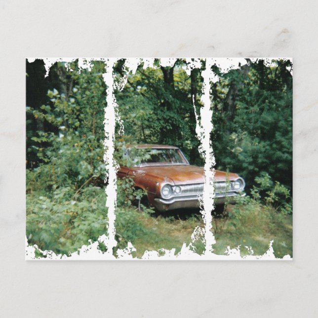 Postal Ayudé a salvar el goldeneagle de la playa de Old O (Anverso)