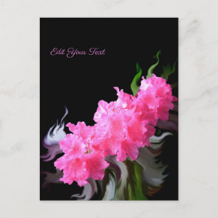 Postal Azalea Flowers