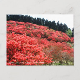 Postal Azalea Scenery:Postcard