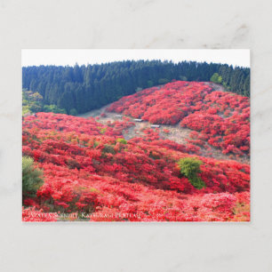 Postal Azalea Scenery:Postcard