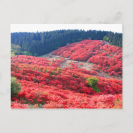 Postal Azalea Scenery:Postcard