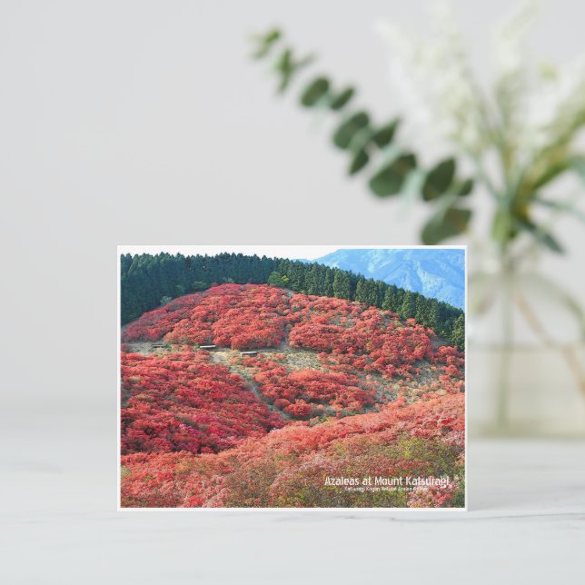 Postal Azaleas at Mount Katsuragi (Anverso de pie)