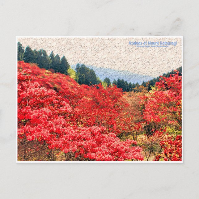 Postal Azaleas at Mount Katsuragi ポストカード (Anverso)