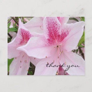 Postal Azaleas rosa suave - Gracias Postcard