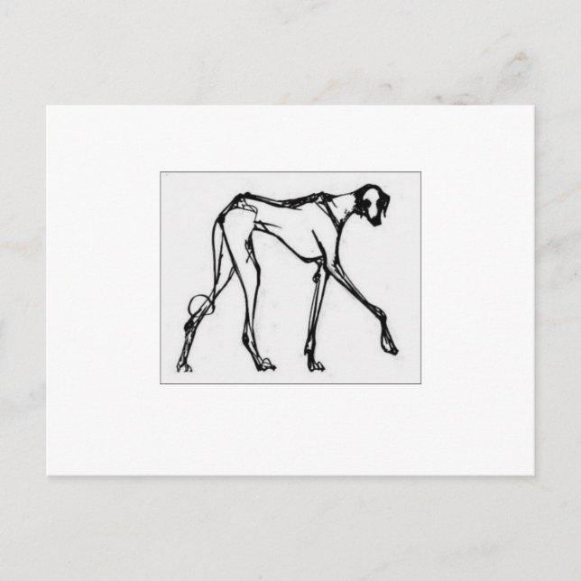 Postal Azawakh 2 (Anverso)