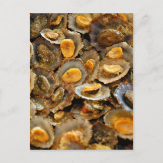 Postal Azores limpets "lapas"