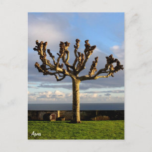 Postal Azores Postcard-Ermida da mae de Deus