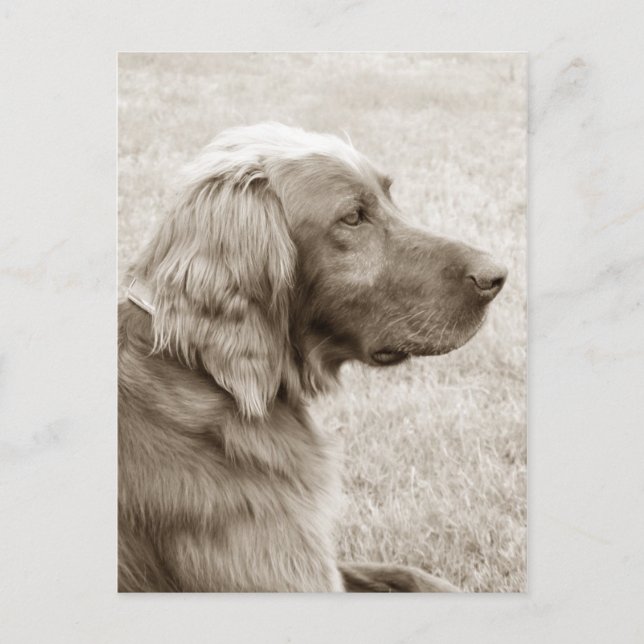 Postal Azul antiguo (Anverso)