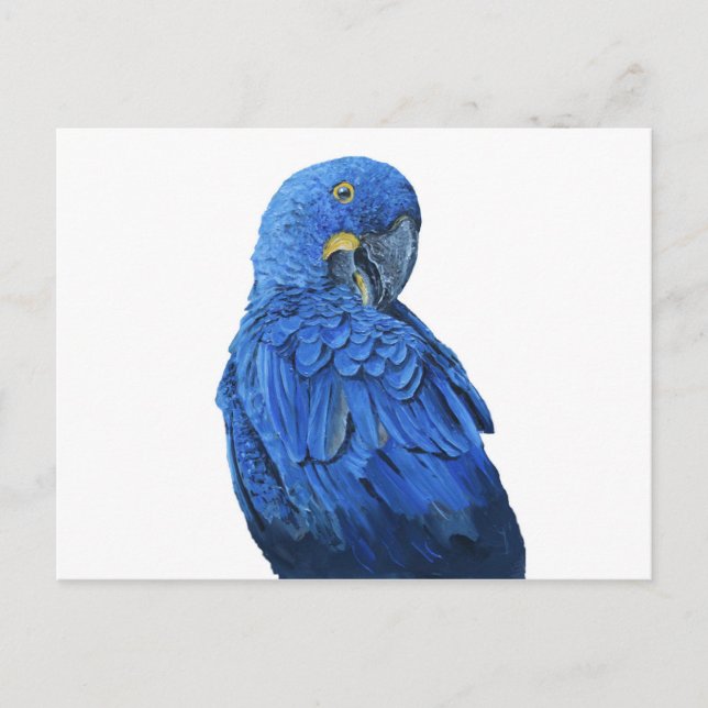 Postal Azul brillante Hyacinin Macaw (Anverso)